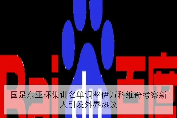 国足东亚杯集训名单调整伊万科维奇考察新人引发外界热议